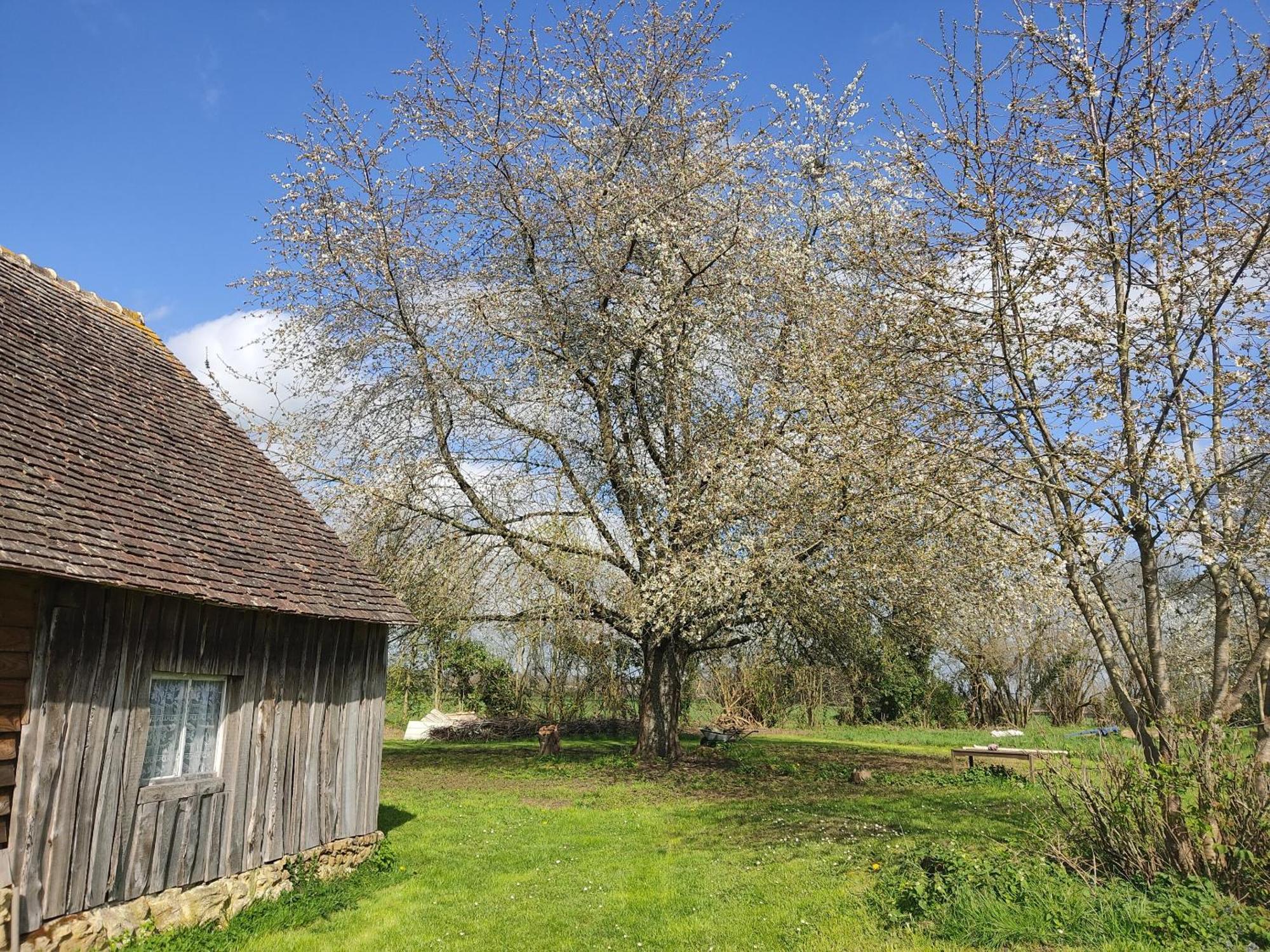 Bed and Breakfast La Valise A Cheval Mezieres-sur-Ponthouin Екстер'єр фото